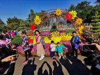 秋日气氛组上线！中山公园赏菊正当时