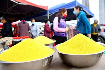 鲜枣、山楂、玉米棒子……实拍秋日乡村大集