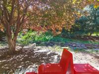 散个步都是满满的爱！实拍太平角公园“爱心马路”