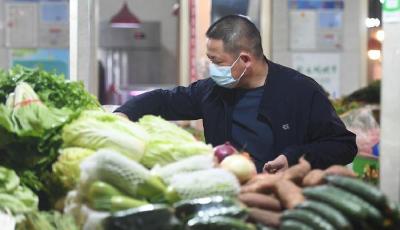 全国多地菜价持续上涨，原因有哪些？几时降？