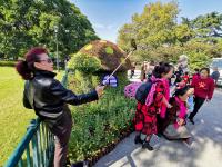 秋日气氛组上线！中山公园赏菊正当时