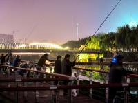 秋风里的惬意 李村河成了夜钓好去处