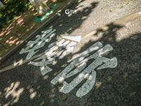 散个步都是满满的爱！实拍太平角公园“爱心马路”