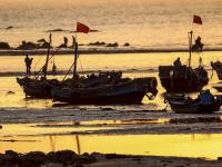 夕阳+晚霞+海鸥！顾家岛海滨实拍美图