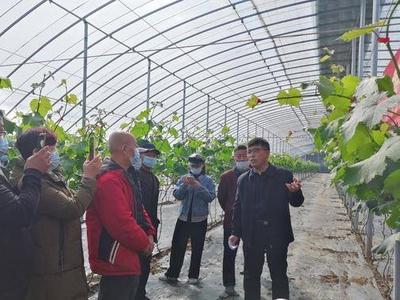 推动文化科技卫生“三下乡”活动，青岛这些优秀项目、团队、个人获表扬
