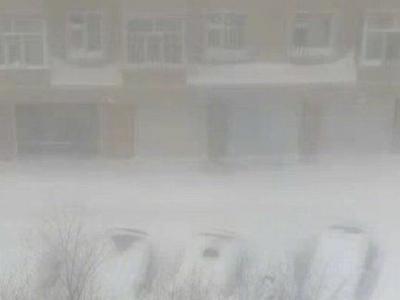“不是手机像素低而是雪太大了”！东北雪大到模糊