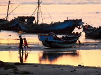 夕阳+晚霞+海鸥！顾家岛海滨实拍美图