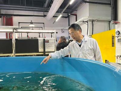 创建“鱼类精子库”，中国工程院院士陈松林对鱼类生物技术研究“情有独钟”