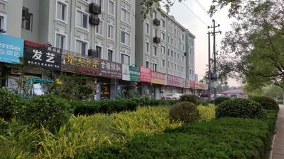 现场回访│门头广告换新 市民看着舒心