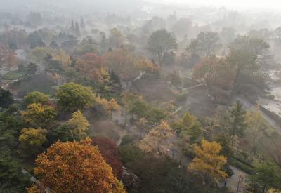 “雾”与伦比！中山公园清晨“仙气照”