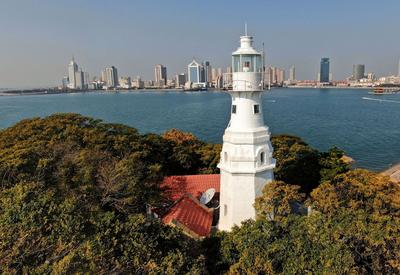 灯塔+木槿、紫薇……小青岛美呆了！