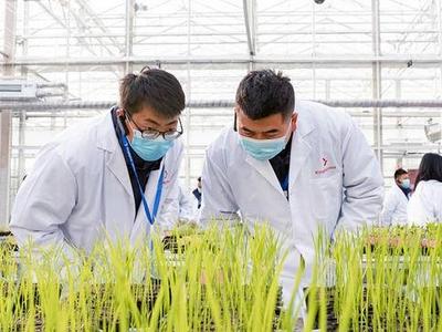 创制 “双唑草酮”，中德生态园高新技术企业清原获国家科学技术进步二等奖