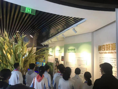 继承袁爷爷遗志，探究海水稻奥秘！四实验学子走进青岛海水稻研究发展中心研学