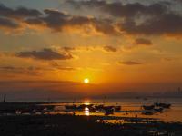 夕阳+晚霞+海鸥！顾家岛海滨实拍美图