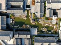 风起金色芦苇荡？冬日唐岛湾公园绝美画面