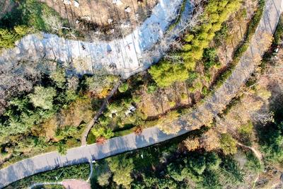 风起金色芦苇荡？冬日唐岛湾公园绝美画面
