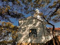 灯塔+木槿、紫薇……小青岛美呆了！