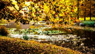 青岛美得不像话，像画！实拍艺术家笔下的秋景