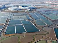 青岛万亩蓝色粮仓：虾蟹参贝从这上餐桌