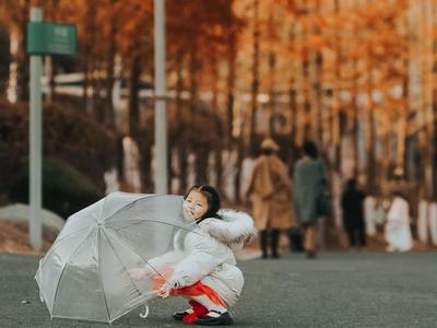 美成童话！青岛这片水杉林值得一逛
