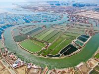 青岛万亩蓝色粮仓：虾蟹参贝从这上餐桌