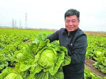 “育种大王”返乡 落后村蝶变幸福村