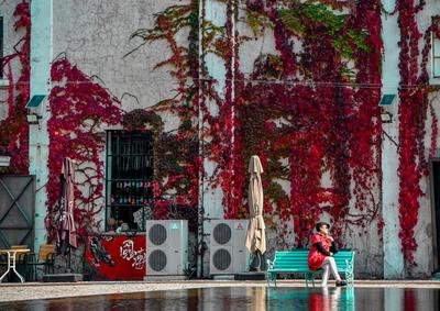 百岁爬山虎？惊艳！纺织谷老水塔“红”啦