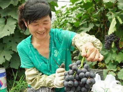 莱西水集街道多措并举，三产服务业发展谋新篇