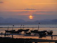 夕阳+晚霞+海鸥！顾家岛海滨实拍美图