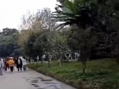 别信！这些涉蓉疫情传言是假的