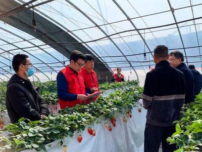 以就业帮扶巩固脱贫攻坚成果！青岛出台新举措全面助力乡村振兴