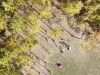 落叶、假山、亭台……一步一景，百花苑初冬也争艳
