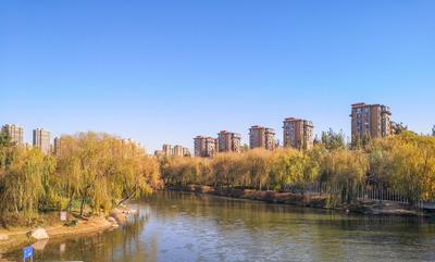 远山、蓝天、垂柳……初冬的李村河太美了