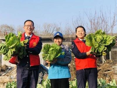 帮村民抢收白菜、免费送乘客归家……青岛志愿者用爱心温暖寒冬