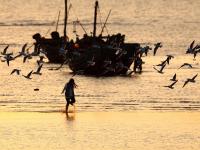 夕阳+晚霞+海鸥！顾家岛海滨实拍美图