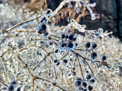 一秒进入冰雪世界！西海岸小珠山现冰挂奇观