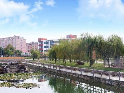 街道设200万专项奖补资金，村庄设曝光台，青岛这里村庄人居环境整治奖罚分明