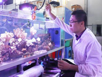 青岛农业大学获批博士点 驻青本科院校全部具备了博士生培养能力