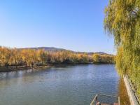 远山、蓝天、垂柳……初冬的李村河太美了