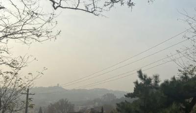 又要变天啦！青岛这个周末有多冷？看完只想和火锅“抱团取暖”......