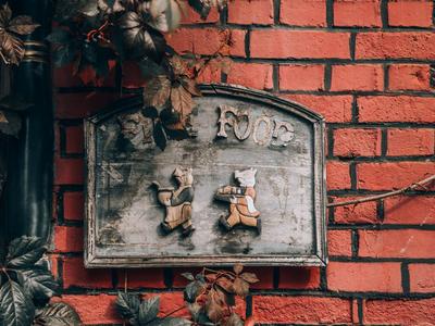 仿佛误入魔法世界！这里的五叶地锦太惊艳|云游青岛