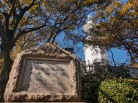 灯塔+木槿、紫薇……小青岛美呆了！