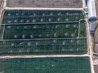 青岛万亩蓝色粮仓：虾蟹参贝从这上餐桌