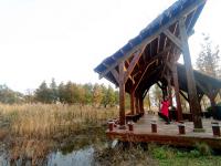 风起金色芦苇荡？冬日唐岛湾公园绝美画面