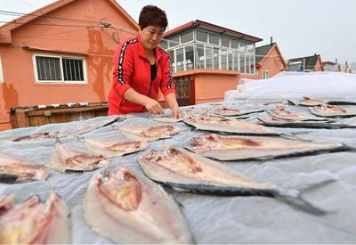 青岛这里鱼干飘香，看得人直流口水！
