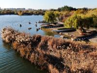 猜猜这是哪个公园？湖中藏着两座迷你岛