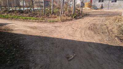 观海帮问ￜ牛沟村村民盼着“户户通”  胶州市普集镇：工程将于2022年上半年启动实施