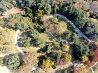 落叶、假山、亭台……一步一景，百花苑初冬也争艳