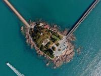 灯塔+木槿、紫薇……小青岛美呆了！