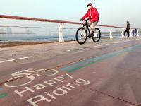 风起金色芦苇荡？冬日唐岛湾公园绝美画面